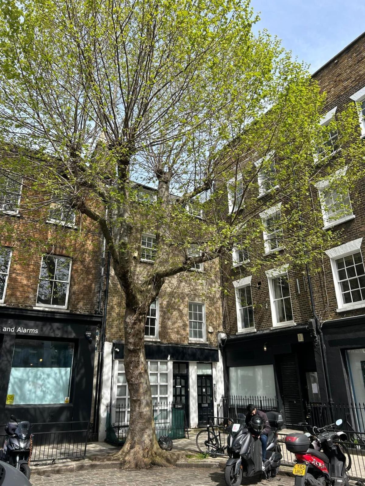 Charming & Cosy - Fitzrovia - West End *